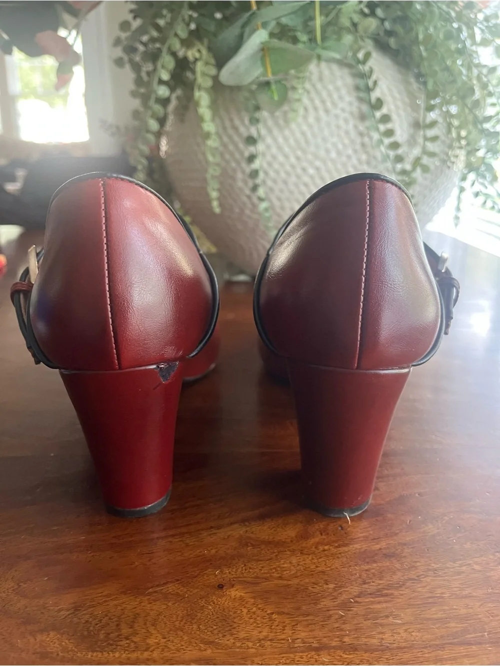 Burgundy Ombré Mary Jane Pumps with Block Heel | Vintage-Inspired | Size 10